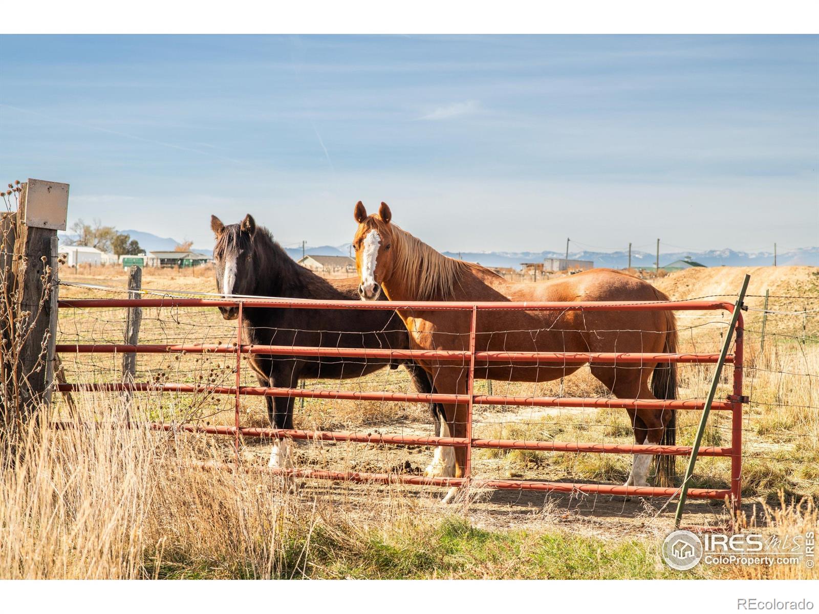 MLS Image #44 for 3382  tipple parkway,erie, Colorado