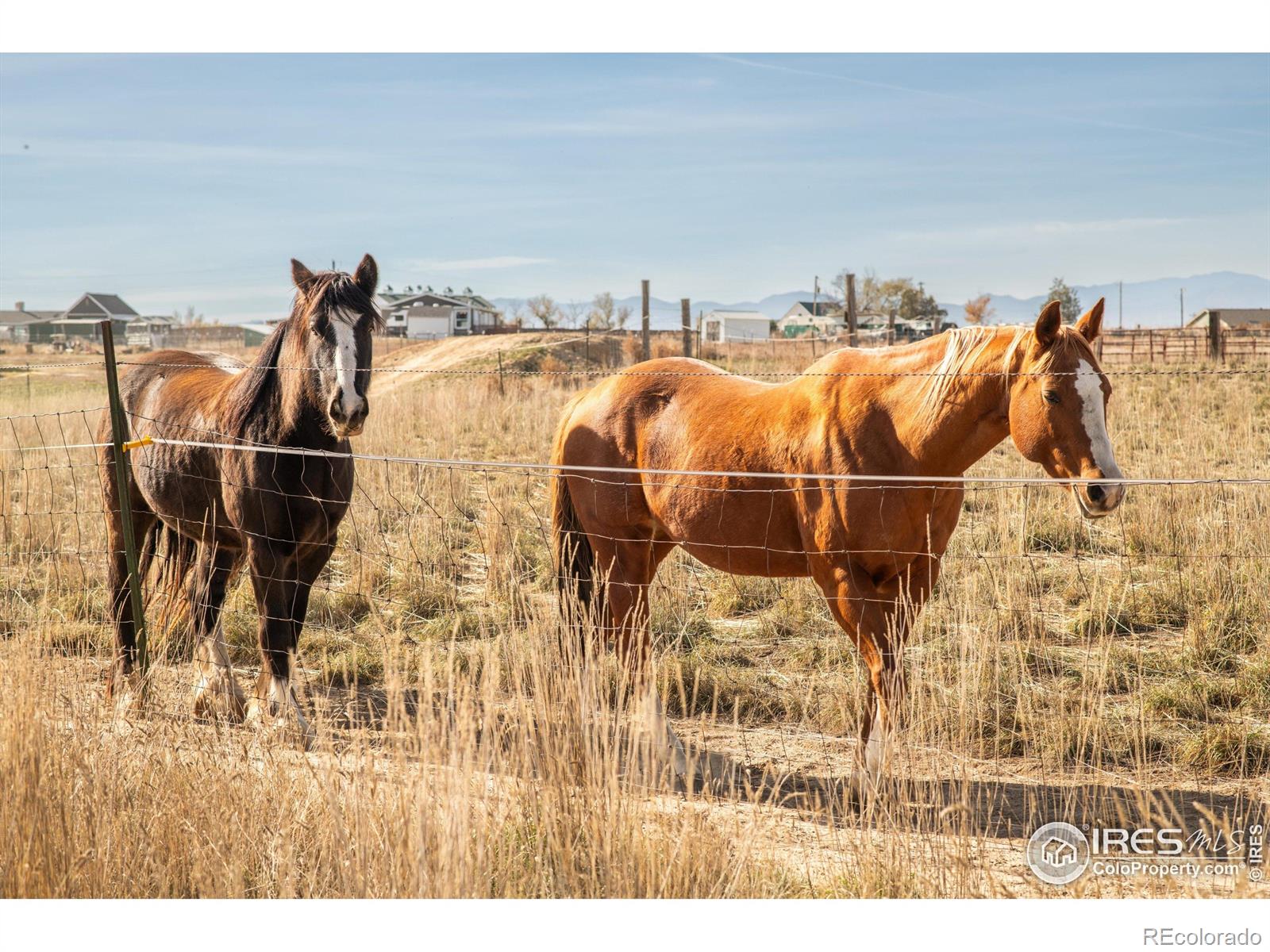 MLS Image #45 for 3382  tipple parkway,erie, Colorado