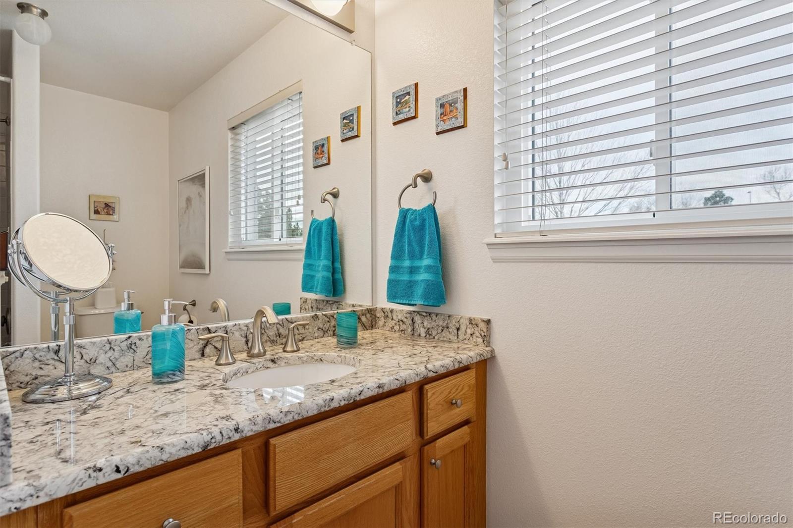 MLS Image #20 for 1294  braewood avenue,highlands ranch, Colorado