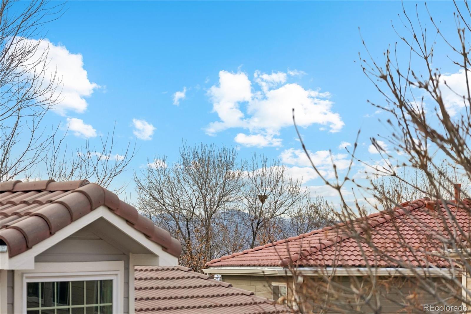 MLS Image #25 for 1294  braewood avenue,highlands ranch, Colorado