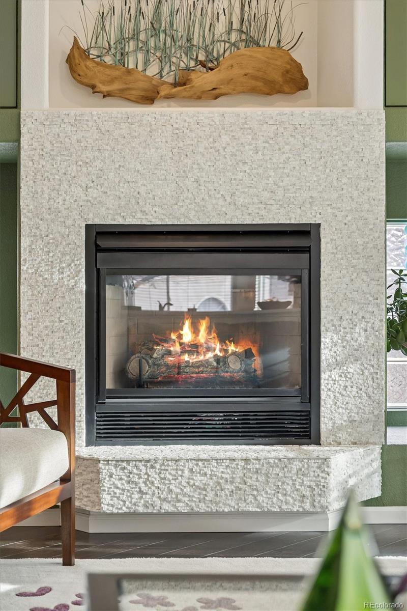 MLS Image #5 for 1294  braewood avenue,highlands ranch, Colorado
