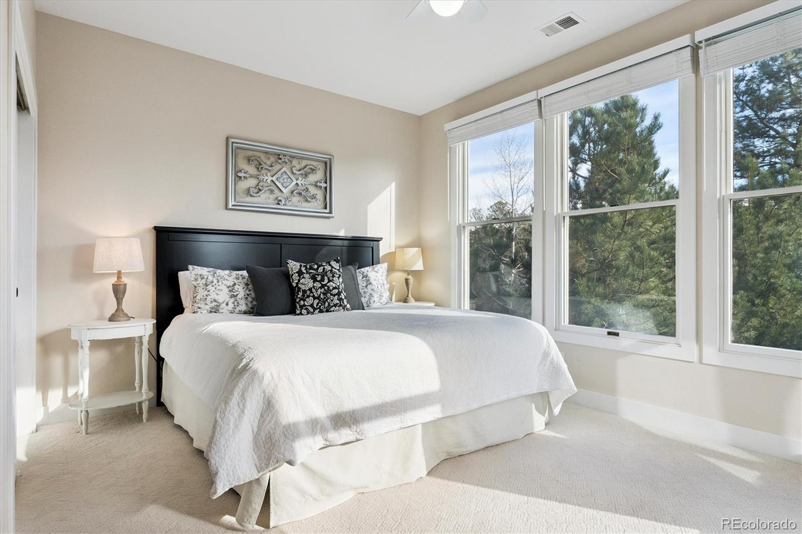 MLS Image #20 for 894  parkcliff lane,castle pines, Colorado