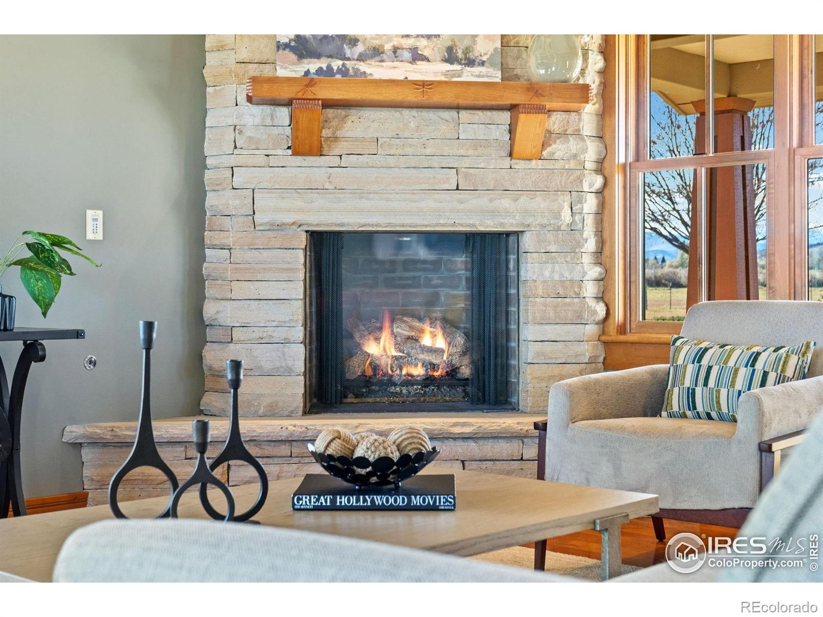 MLS Image #13 for 14754  creekside lane,longmont, Colorado