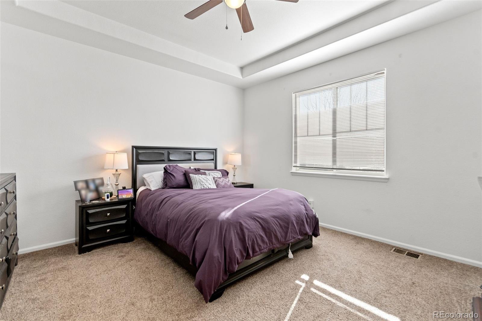 MLS Image #13 for 3673  champagne avenue,castle rock, Colorado