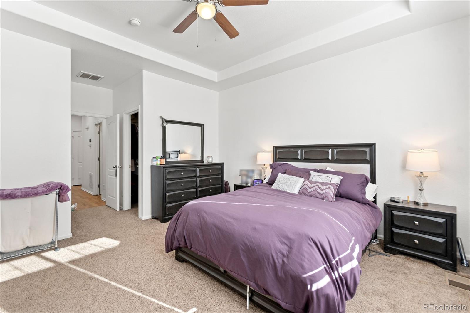 MLS Image #14 for 3673  champagne avenue,castle rock, Colorado