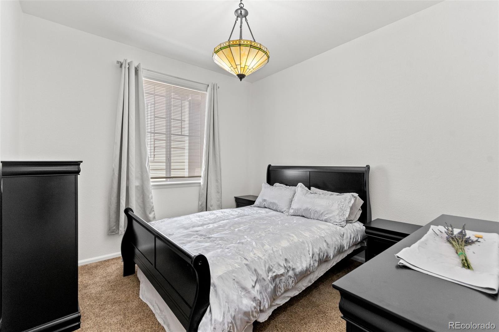 MLS Image #22 for 3673  champagne avenue,castle rock, Colorado