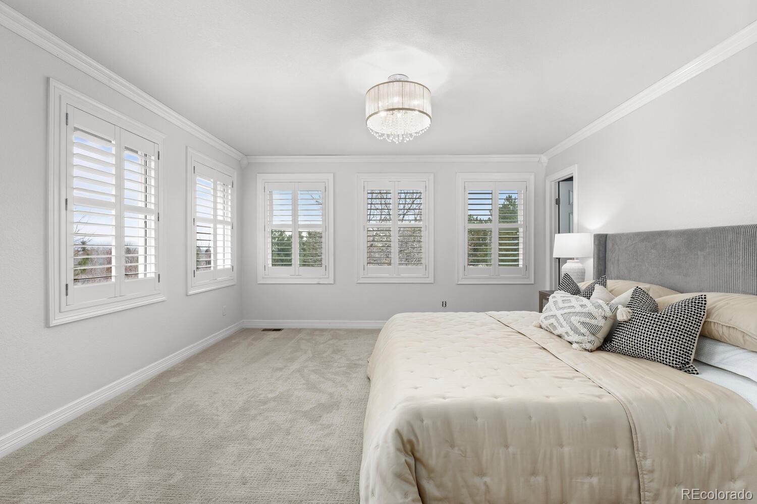 MLS Image #22 for 141  fairchild place,highlands ranch, Colorado