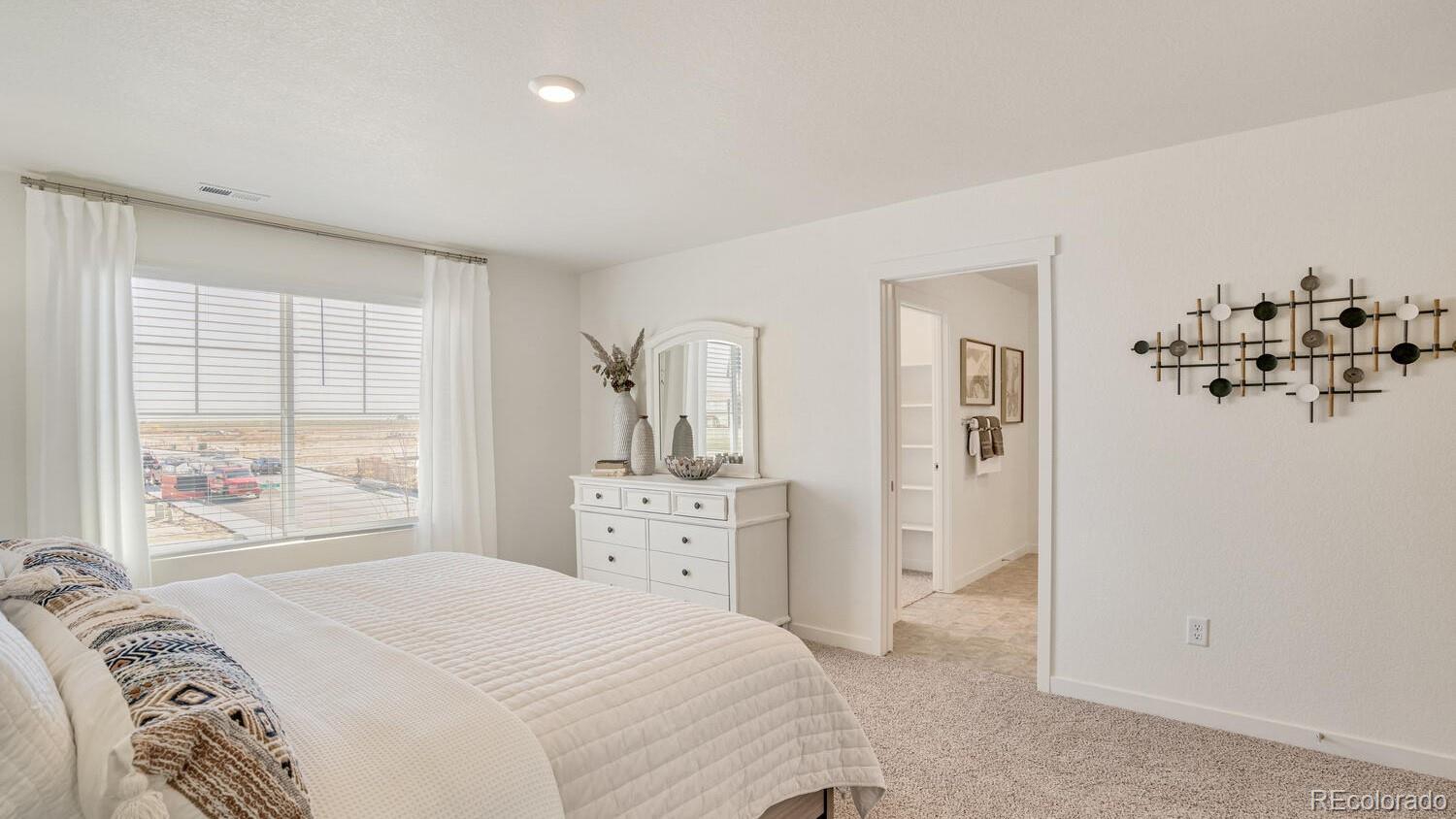 MLS Image #19 for 1073  brink street,lochbuie, Colorado