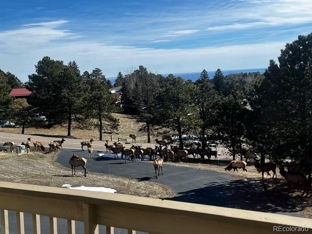 MLS Image #45 for 243  paradise road,golden, Colorado