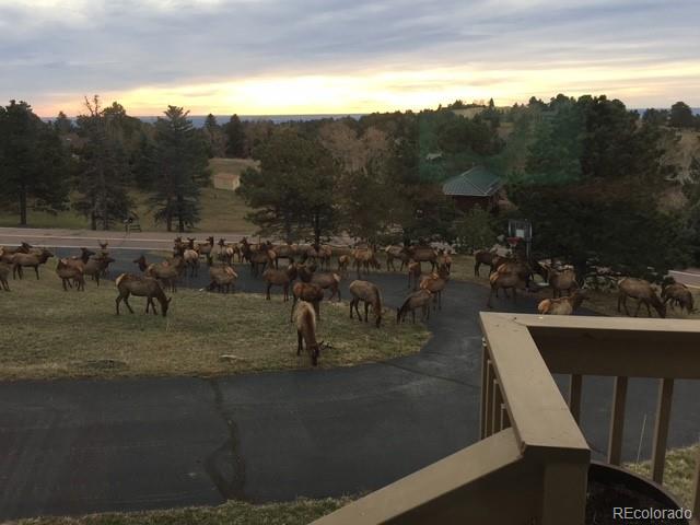 MLS Image #46 for 243  paradise road,golden, Colorado