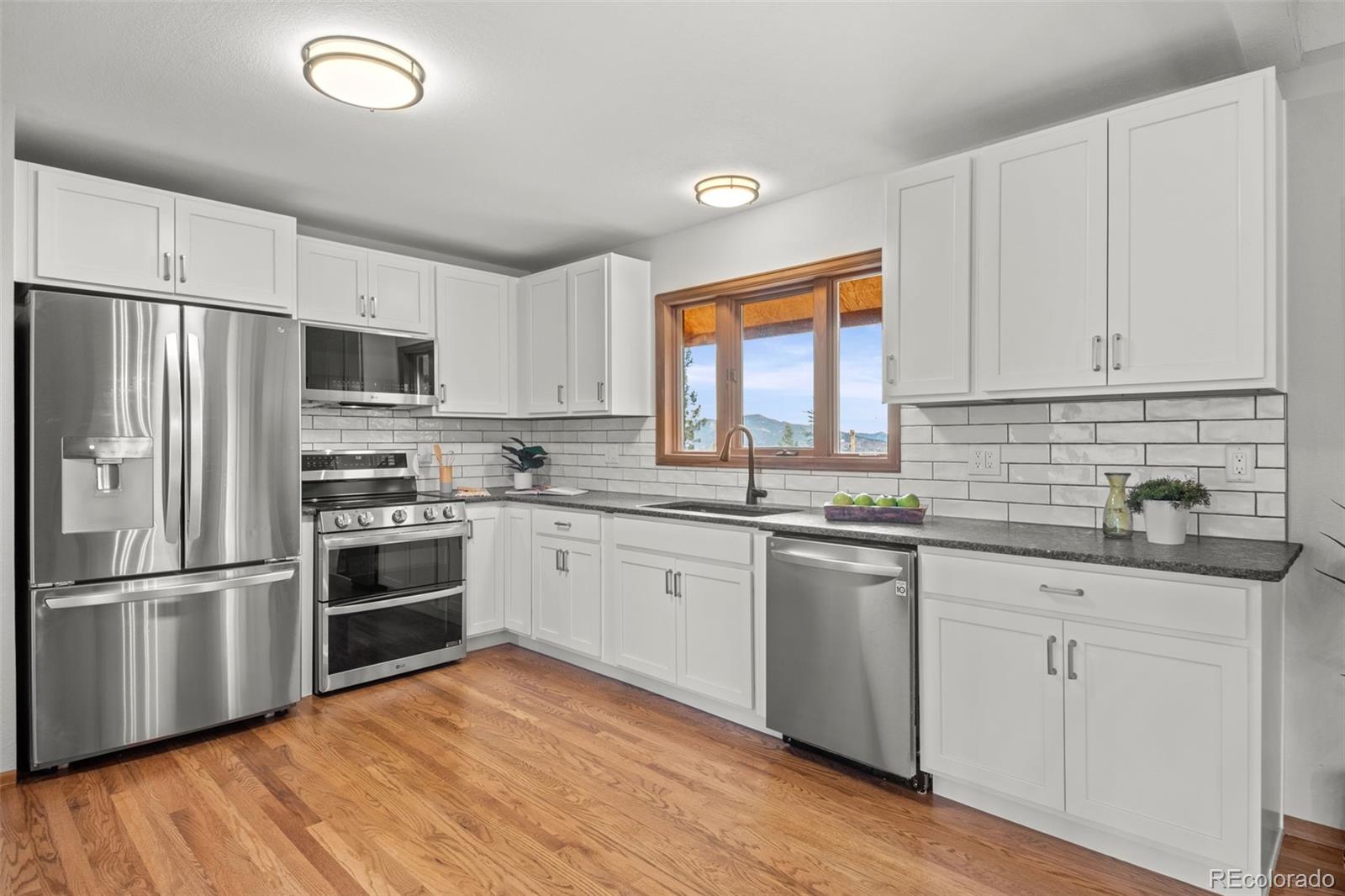MLS Image #13 for 33172  lynx lane,evergreen, Colorado