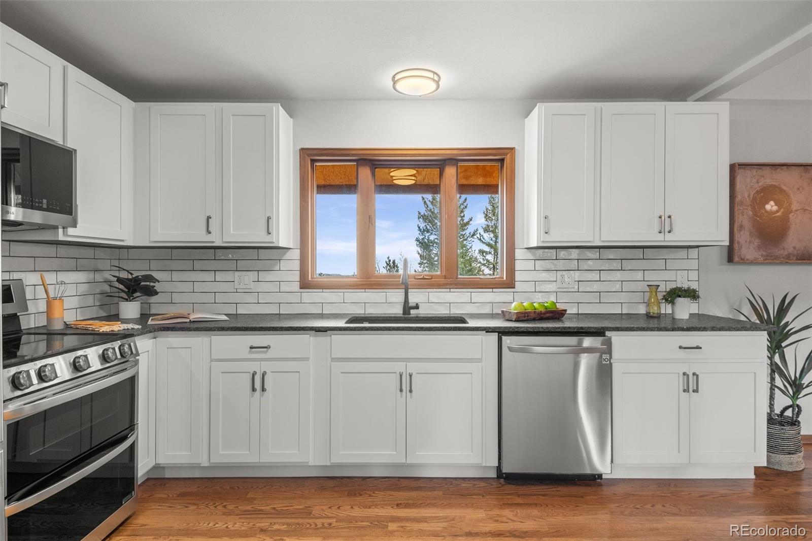 MLS Image #14 for 33172  lynx lane,evergreen, Colorado