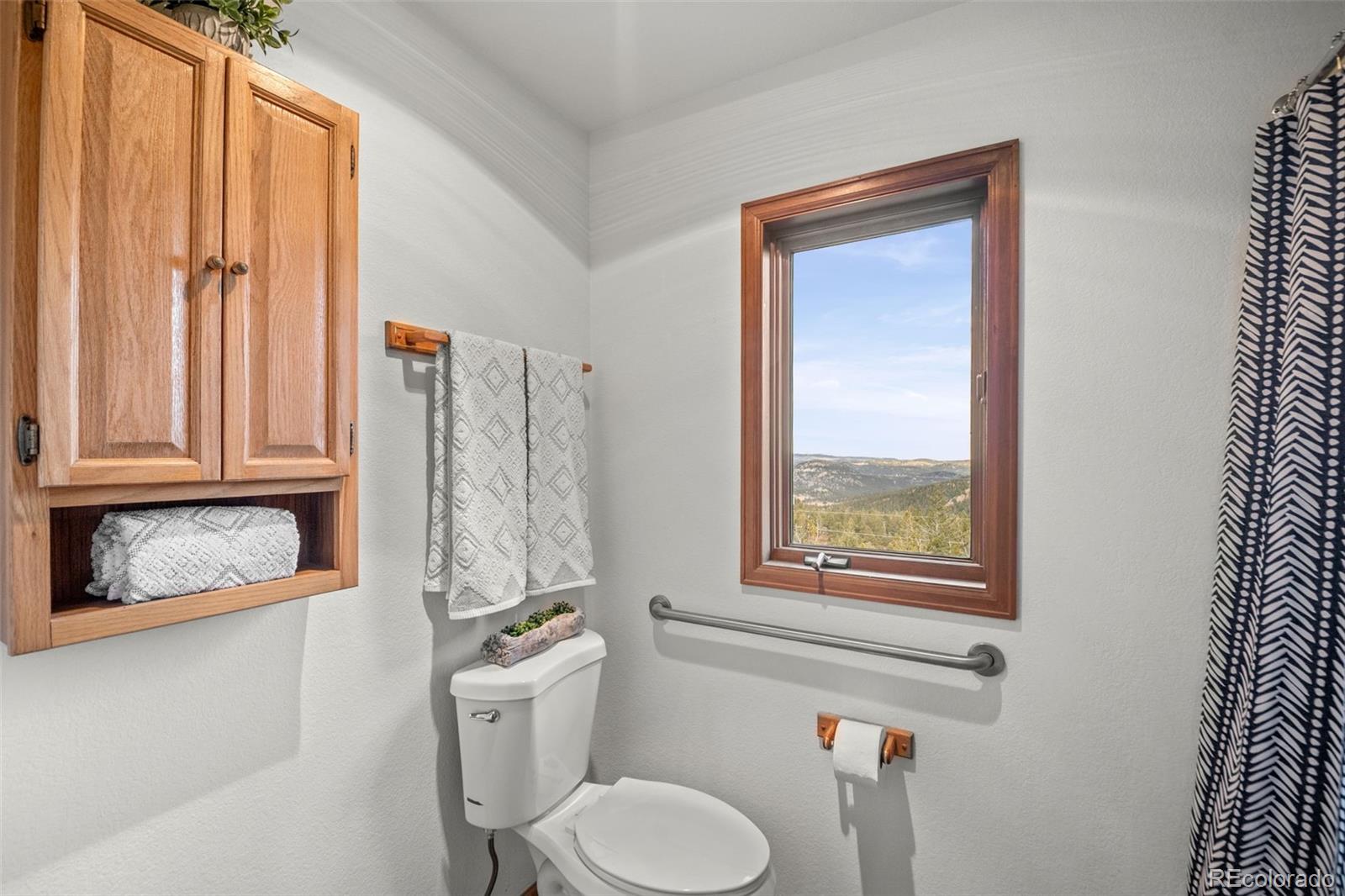 MLS Image #22 for 33172  lynx lane,evergreen, Colorado