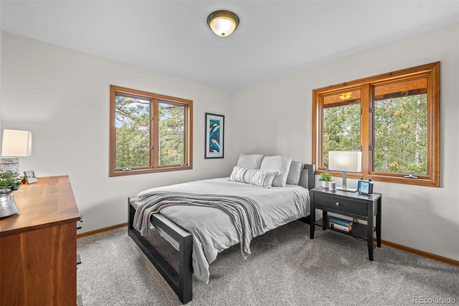 MLS Image #24 for 33172  lynx lane,evergreen, Colorado
