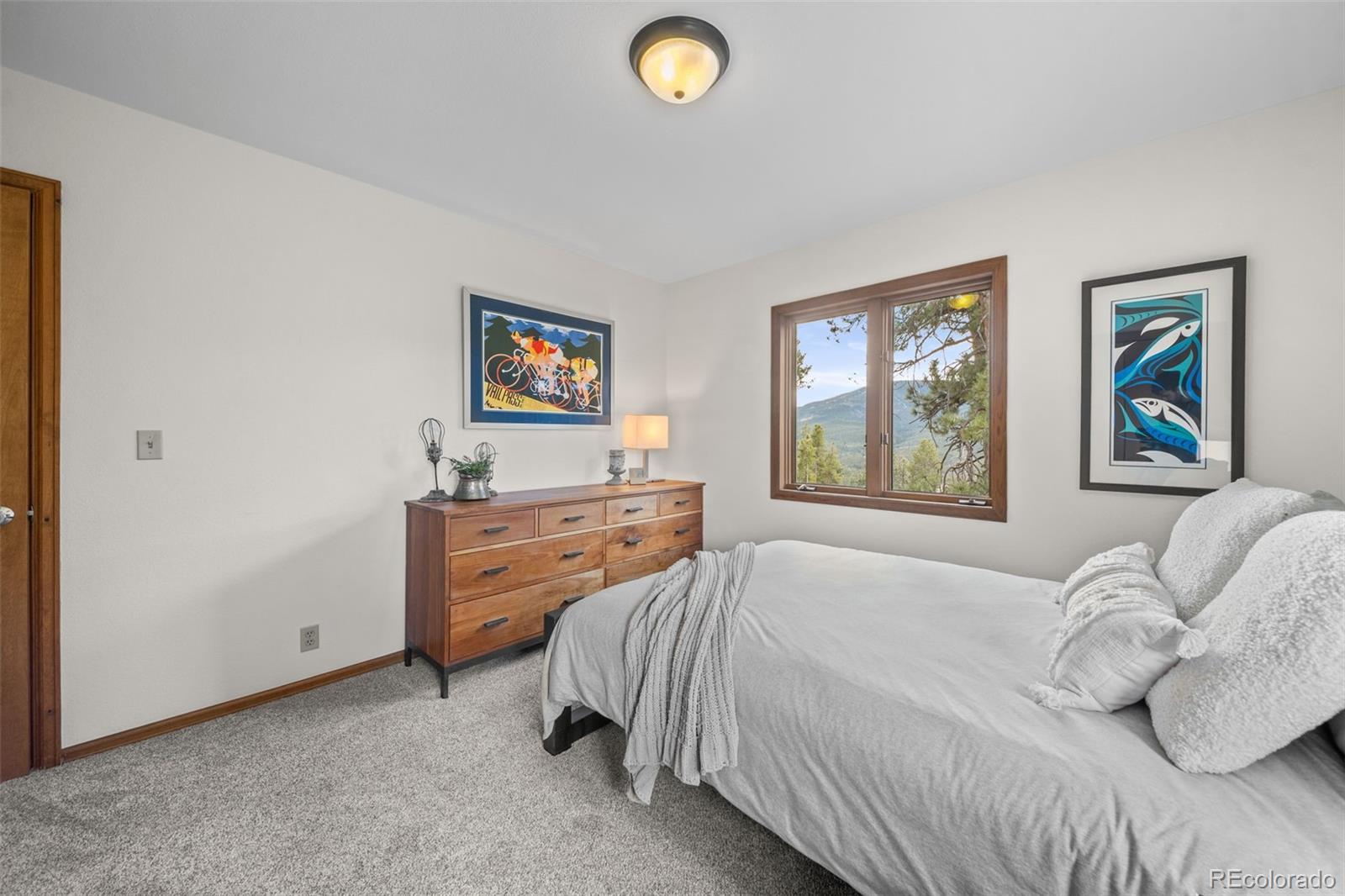 MLS Image #25 for 33172  lynx lane,evergreen, Colorado