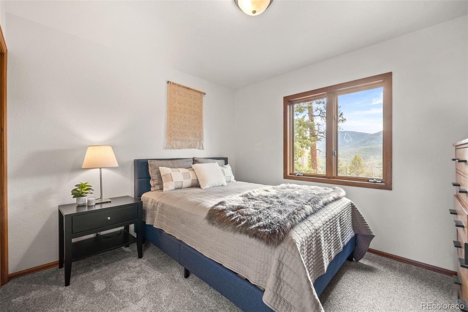 MLS Image #26 for 33172  lynx lane,evergreen, Colorado