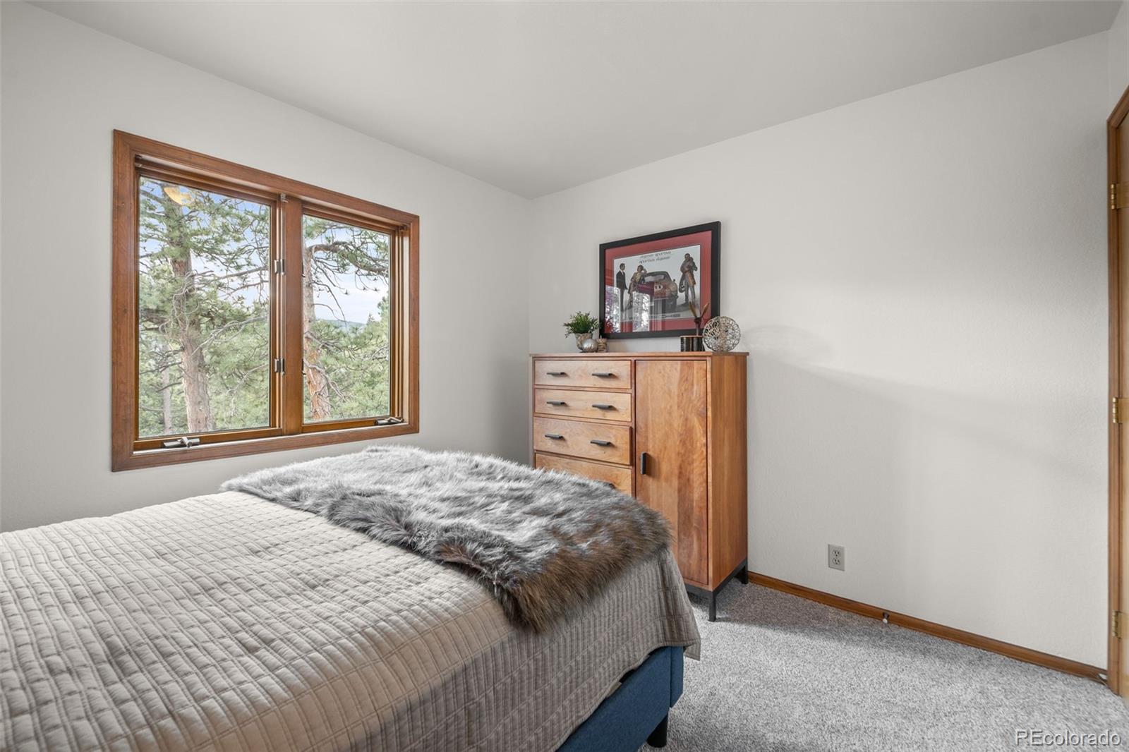 MLS Image #27 for 33172  lynx lane,evergreen, Colorado