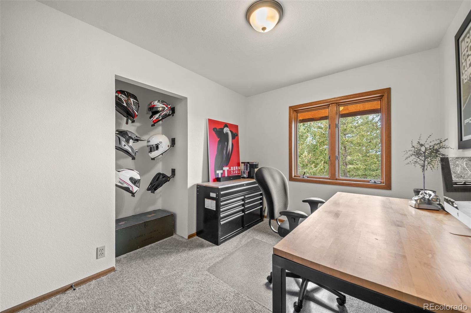 MLS Image #30 for 33172  lynx lane,evergreen, Colorado