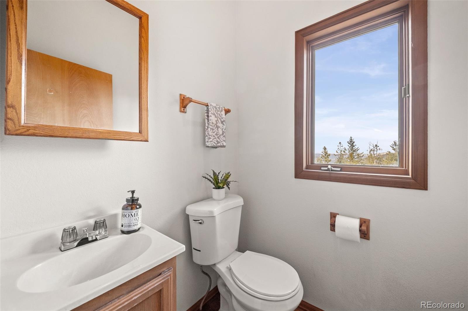 MLS Image #33 for 33172  lynx lane,evergreen, Colorado