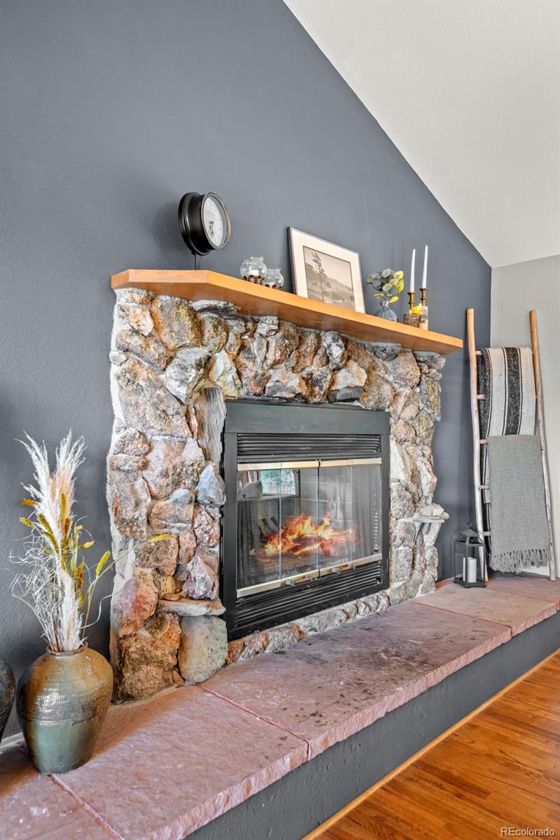 MLS Image #8 for 33172  lynx lane,evergreen, Colorado