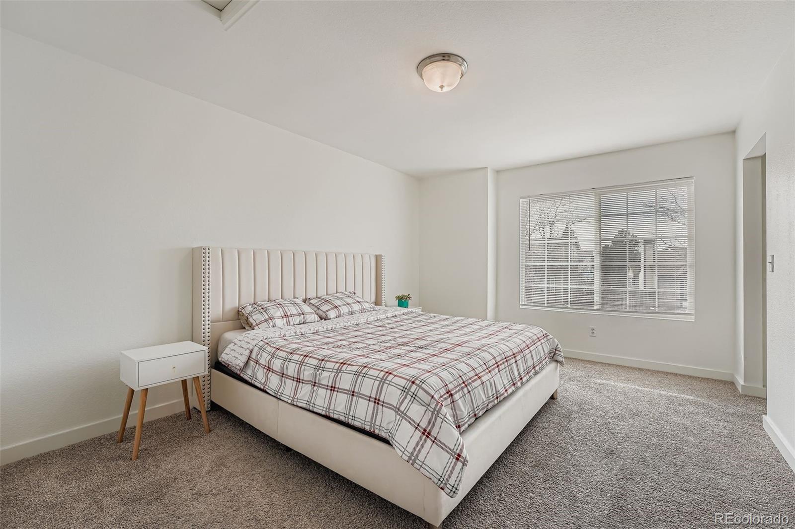 MLS Image #13 for 4250  perth circle,denver, Colorado