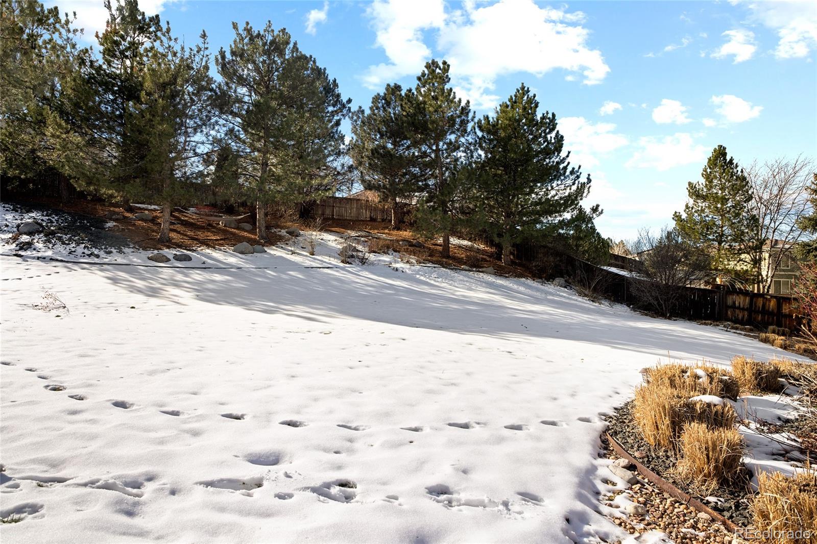 MLS Image #41 for 10269  fawnbrook court,highlands ranch, Colorado