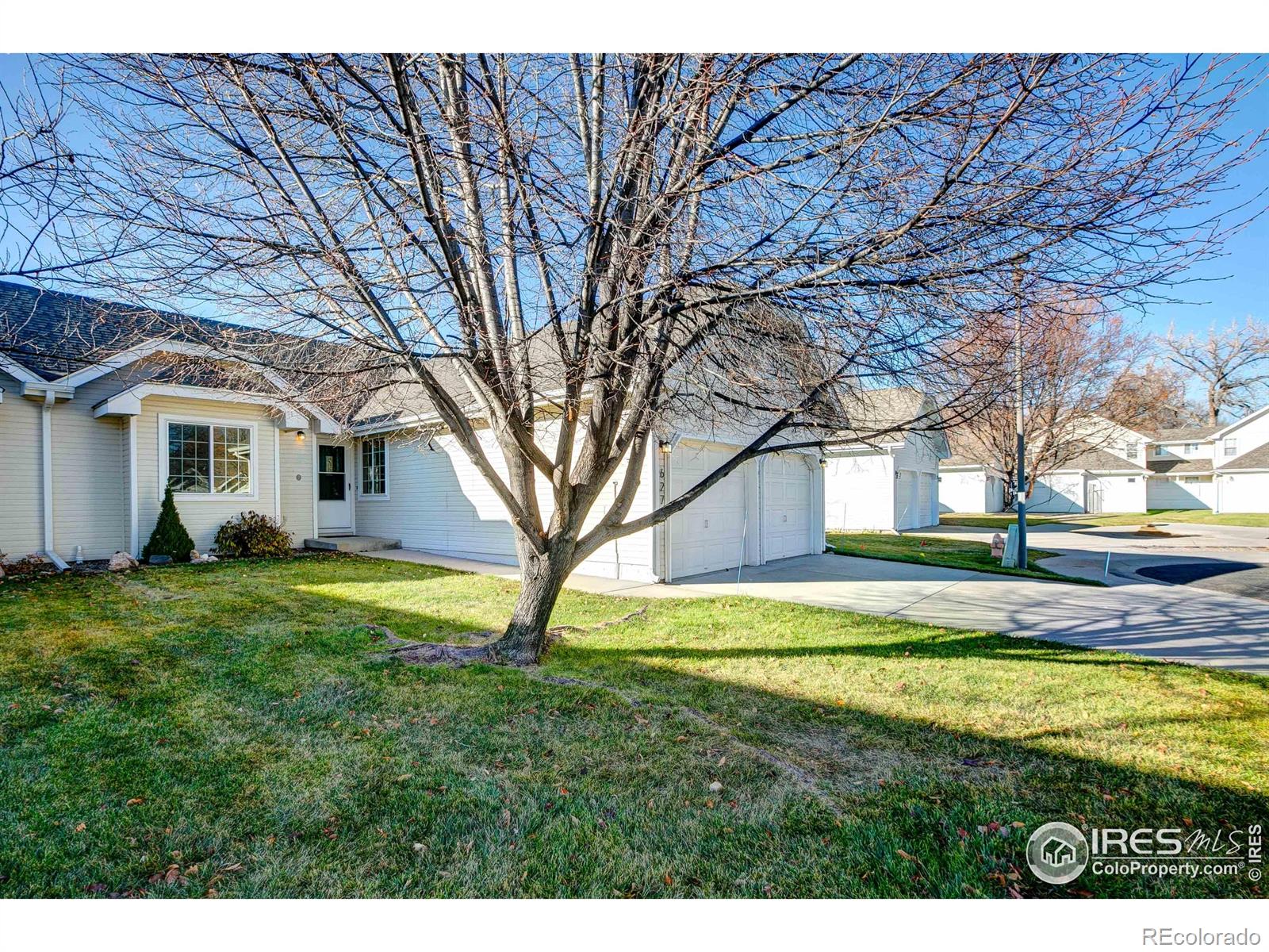 MLS Image #1 for 627  moose court,loveland, Colorado