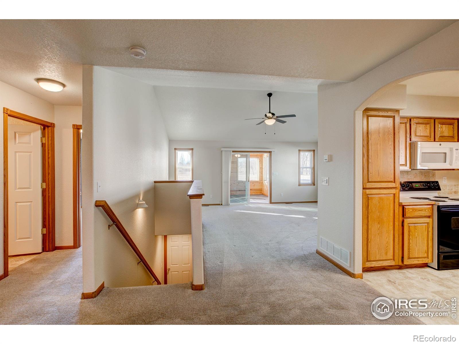 MLS Image #14 for 627  moose court,loveland, Colorado
