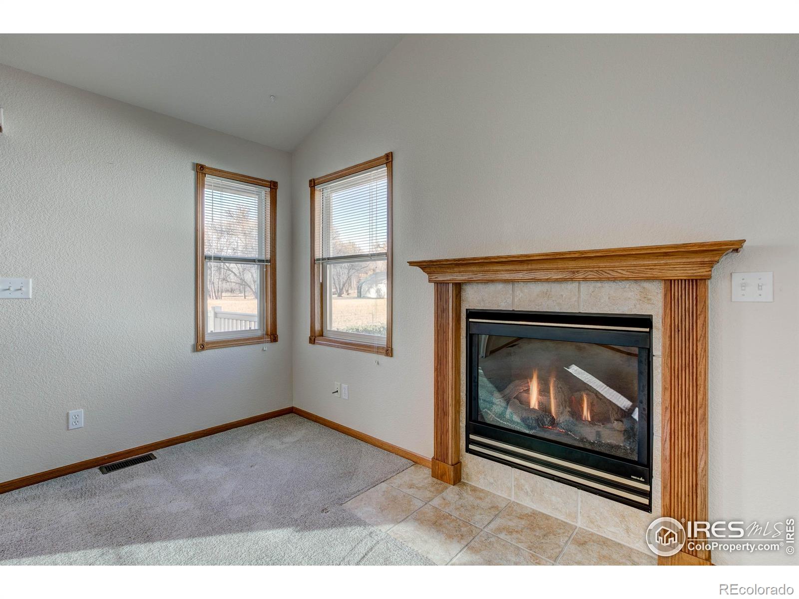 MLS Image #21 for 627  moose court,loveland, Colorado