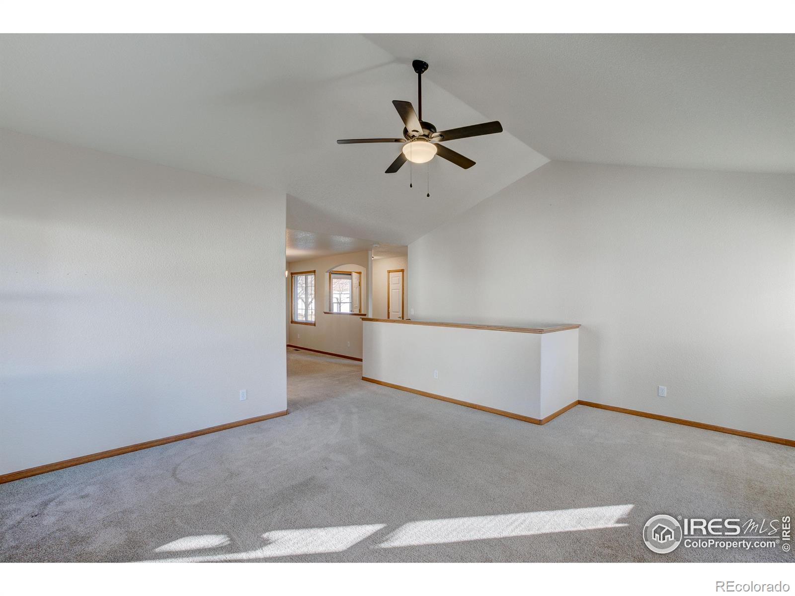 MLS Image #22 for 627  moose court,loveland, Colorado