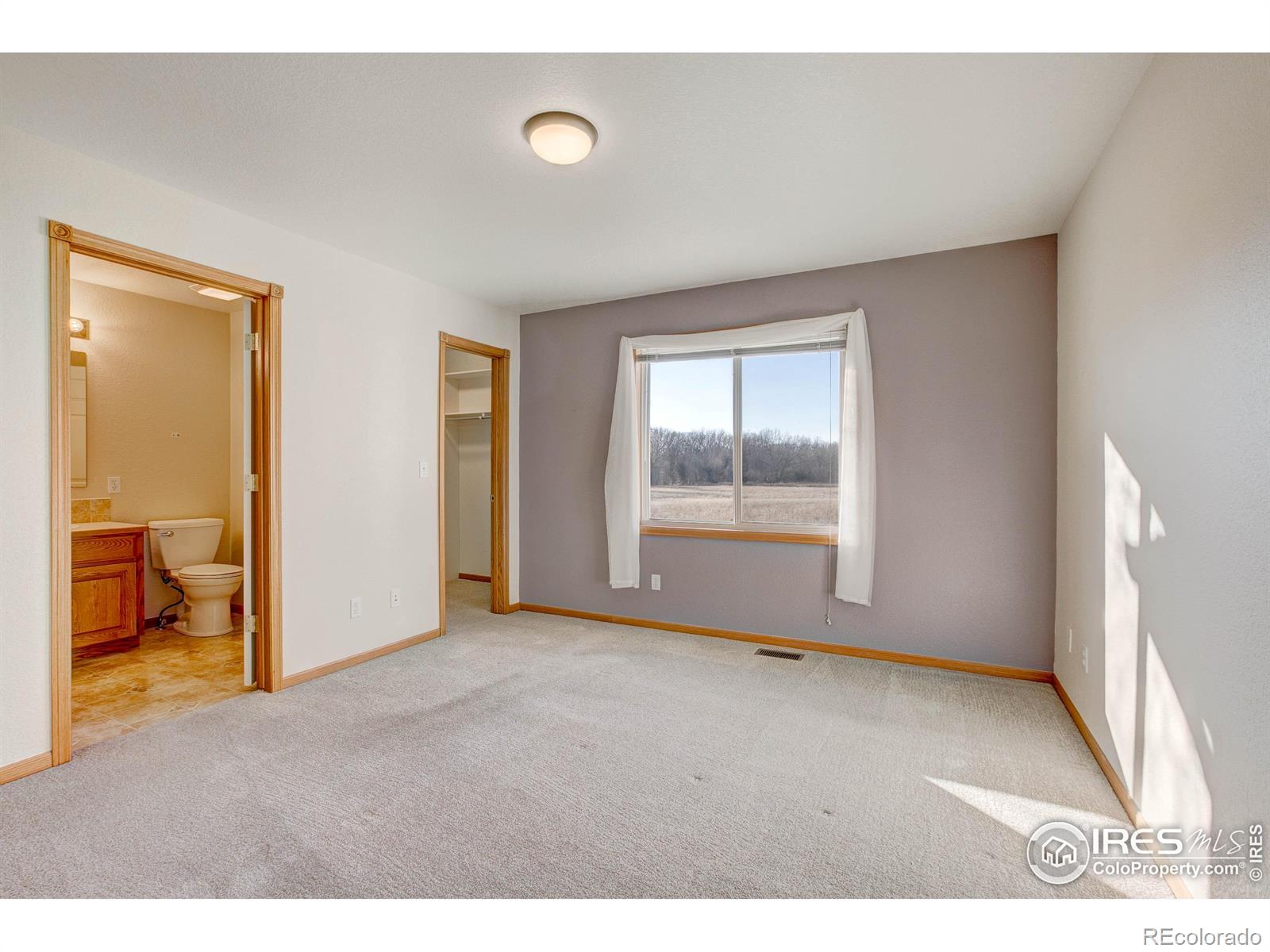 MLS Image #26 for 627  moose court,loveland, Colorado