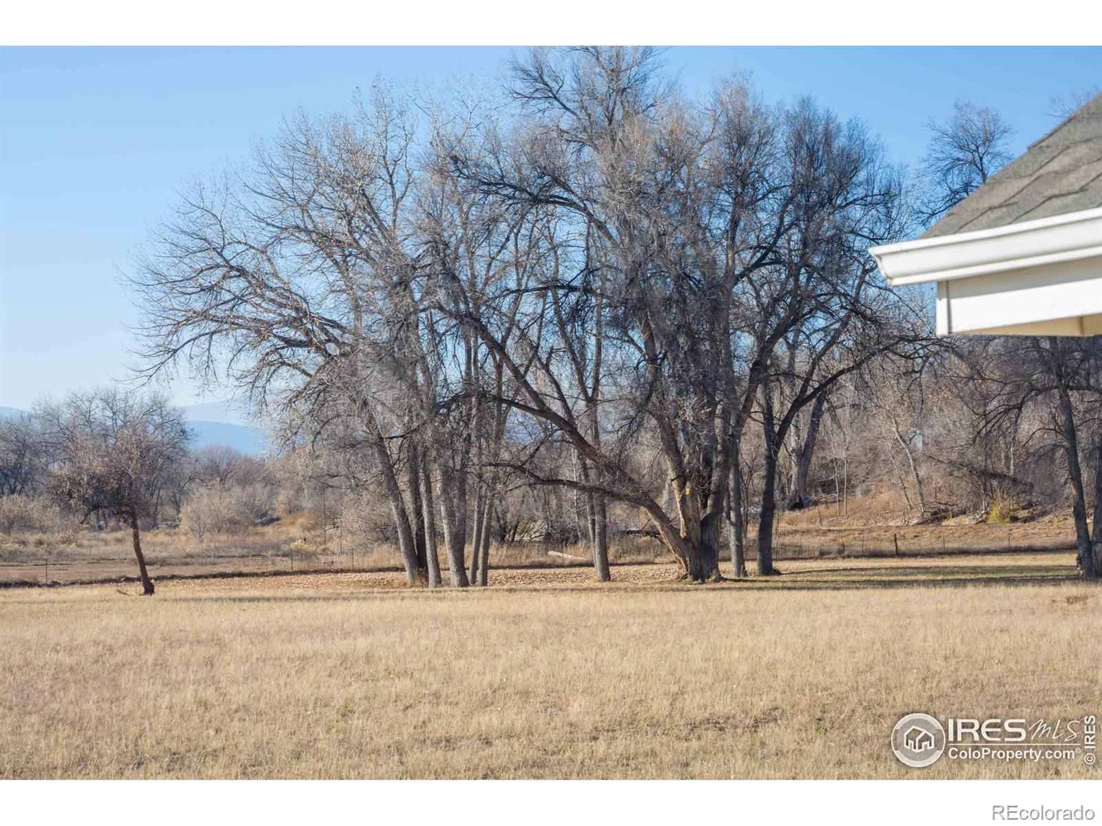 MLS Image #43 for 627  moose court,loveland, Colorado