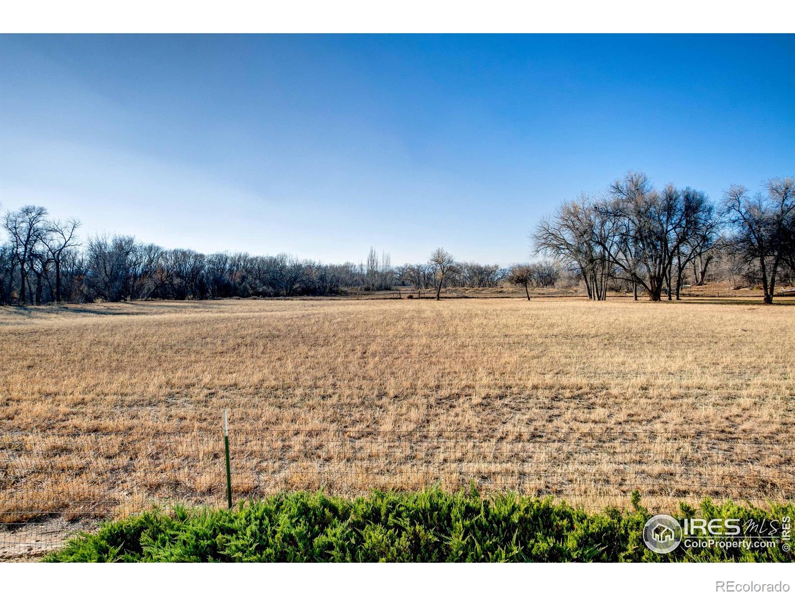 MLS Image #44 for 627  moose court,loveland, Colorado