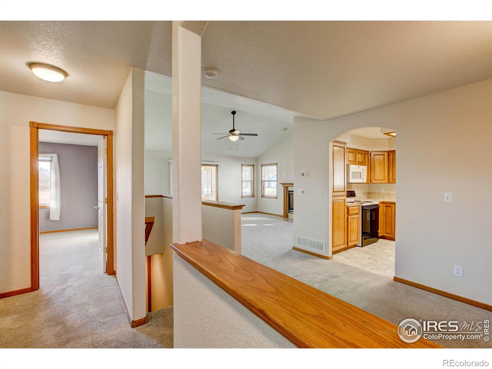 MLS Image #6 for 627  moose court,loveland, Colorado