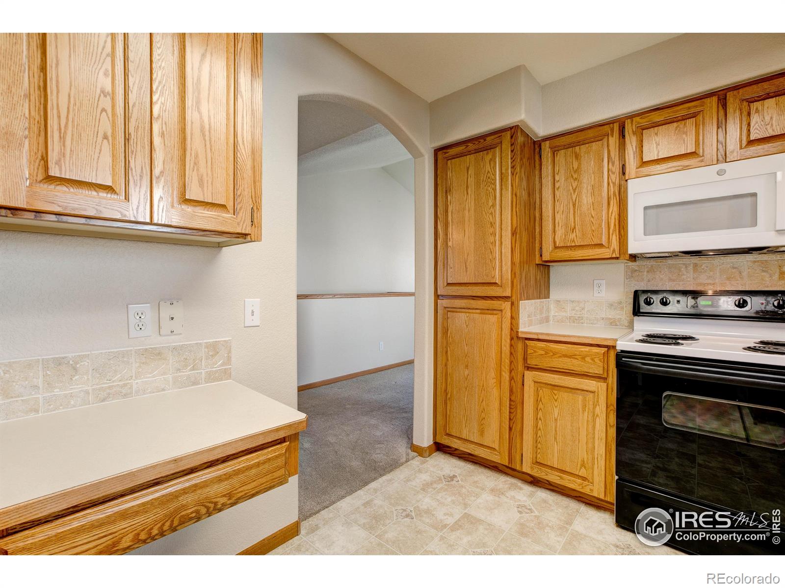 MLS Image #9 for 627  moose court,loveland, Colorado