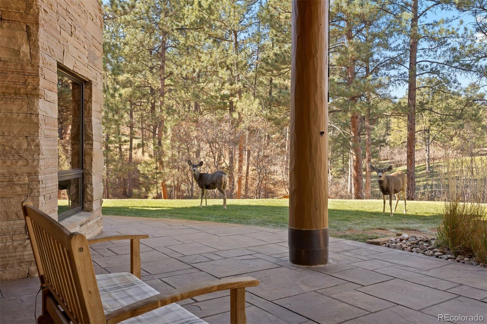 MLS Image #26 for 6833  yampa drive,larkspur, Colorado