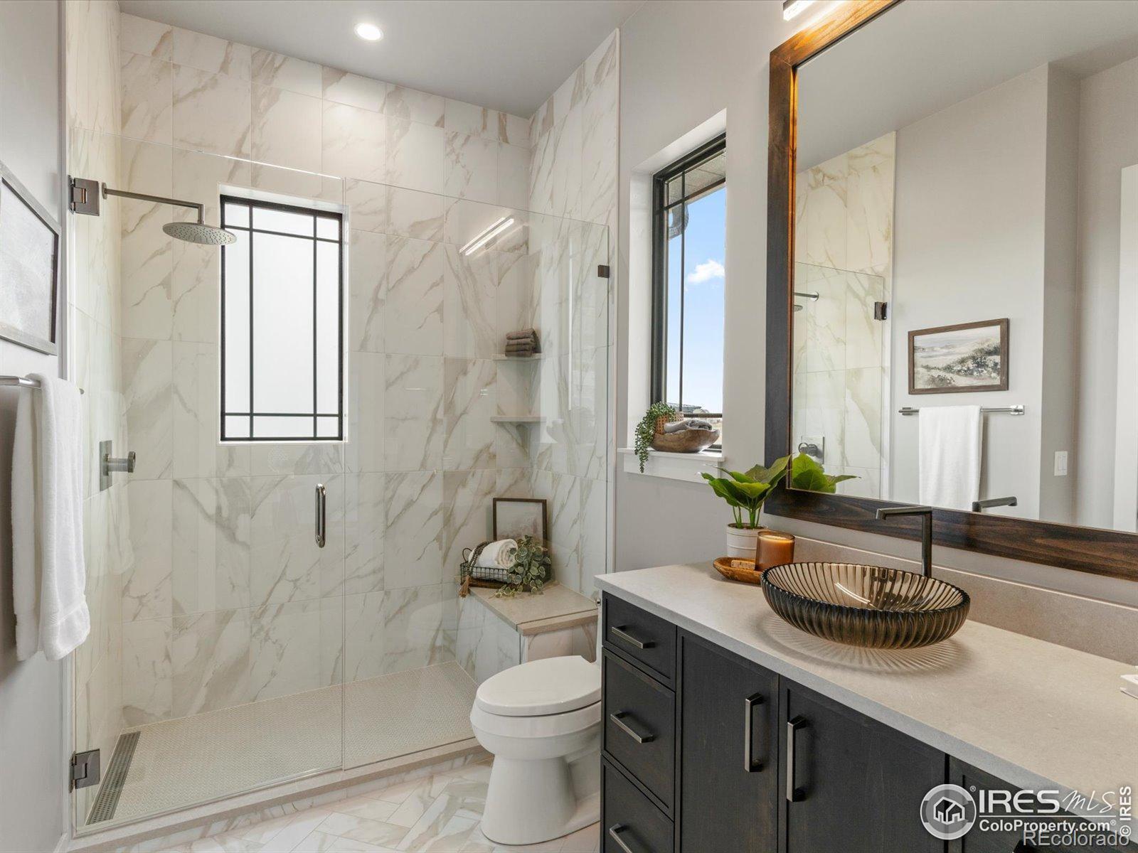 MLS Image #14 for 3650  tall grass court,timnath, Colorado