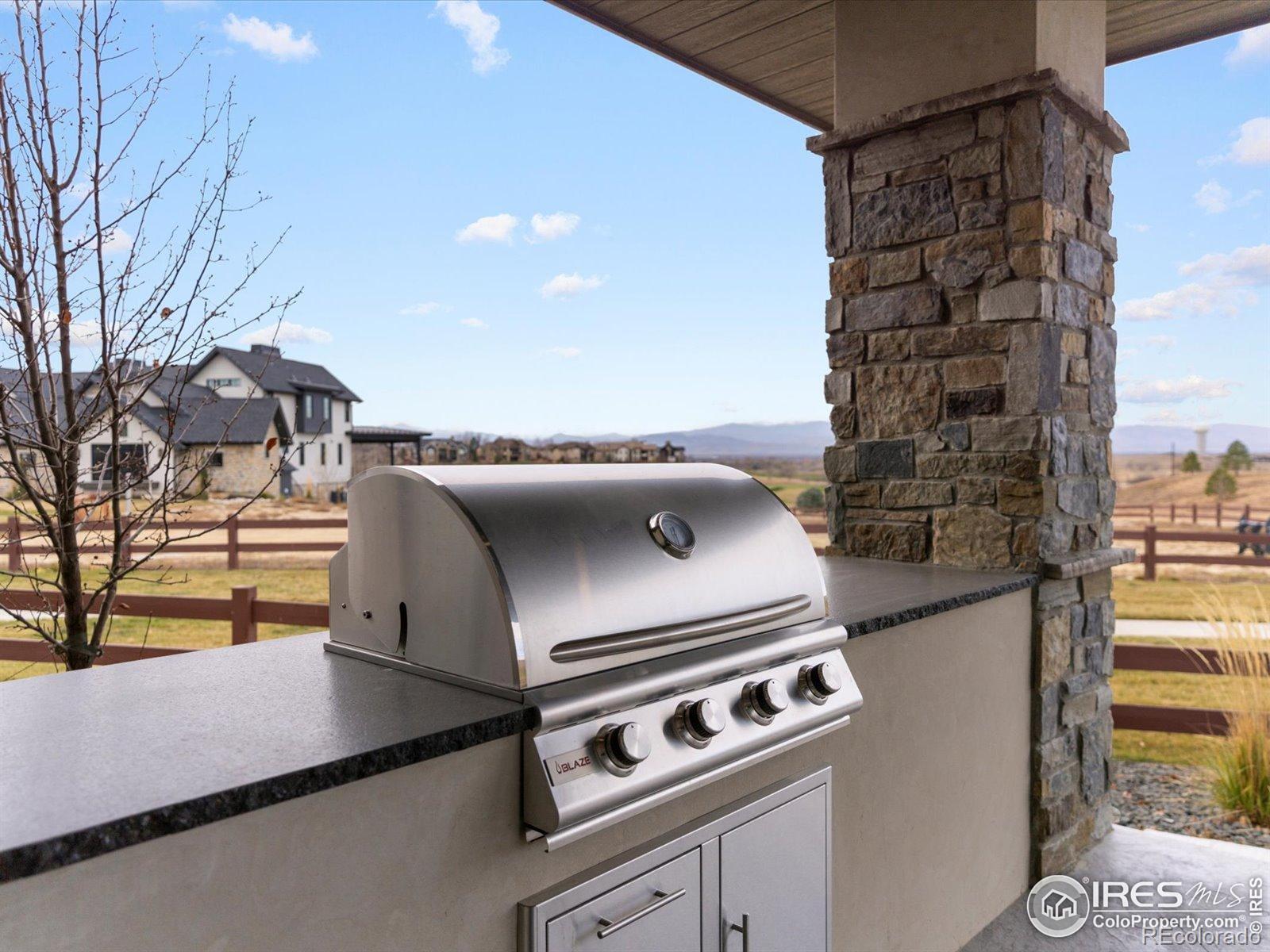 MLS Image #7 for 3650  tall grass court,timnath, Colorado