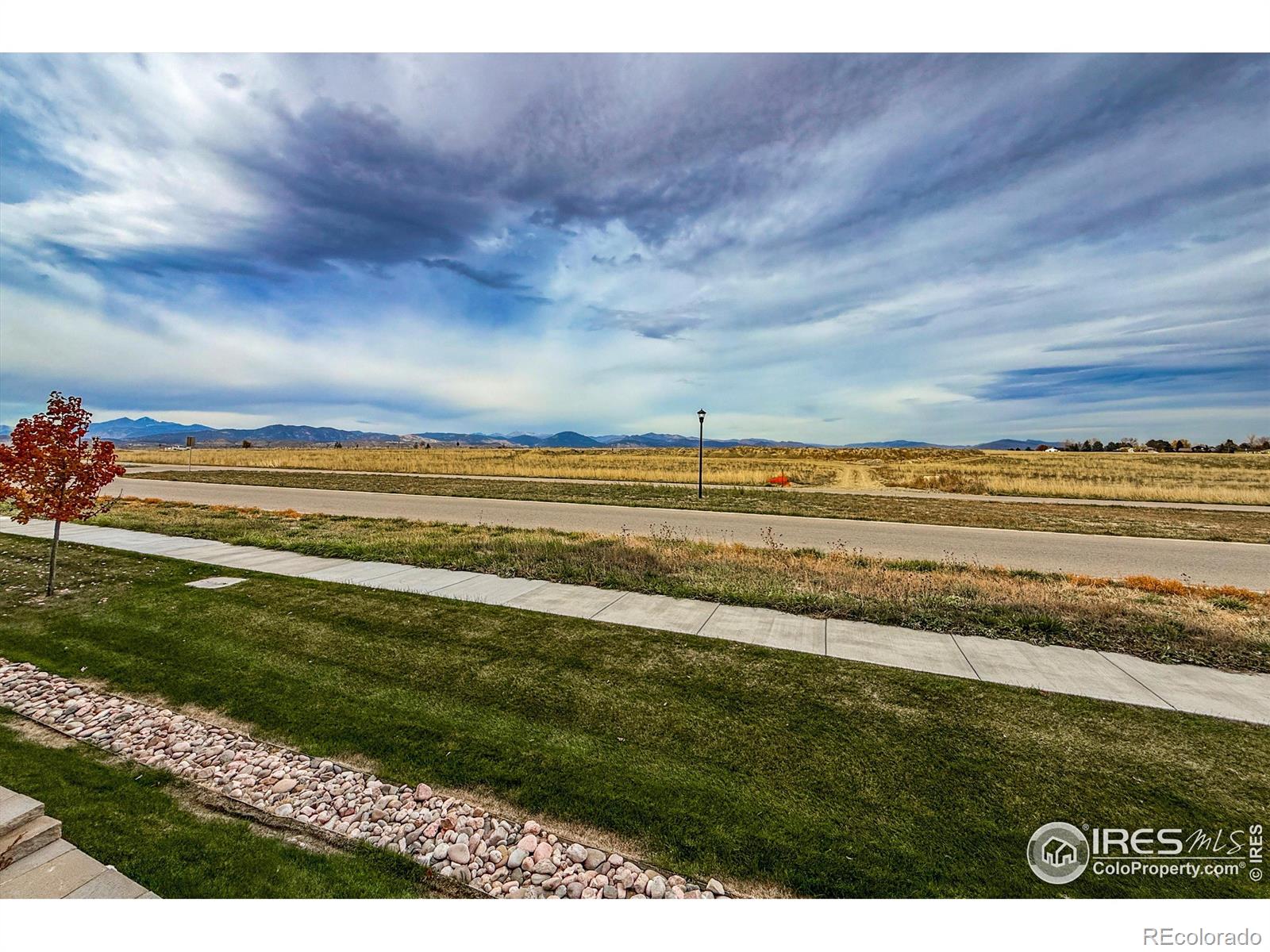 MLS Image #21 for 1568  harebell street,berthoud, Colorado