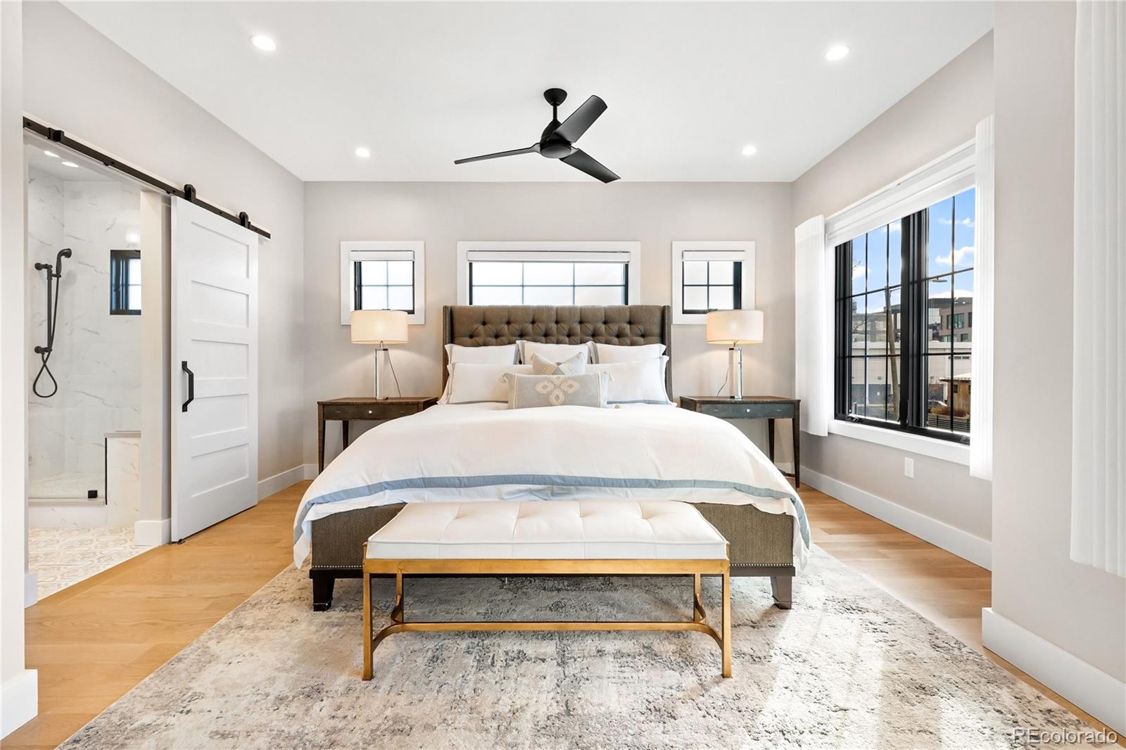 MLS Image #11 for 350  milwaukee street,denver, Colorado