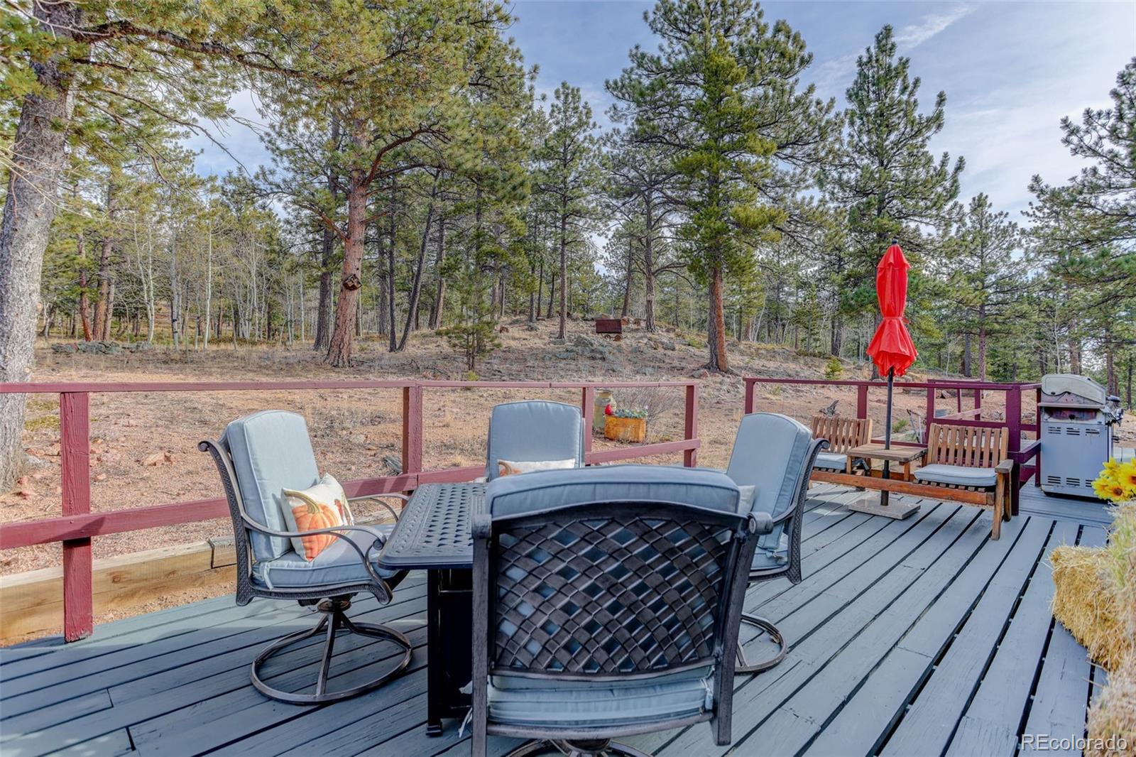 MLS Image #24 for 50  road p78 ,bailey, Colorado