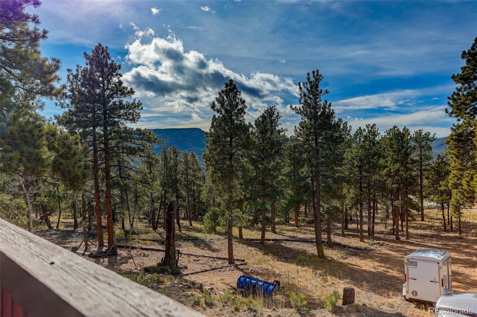 MLS Image #28 for 50  road p78 ,bailey, Colorado