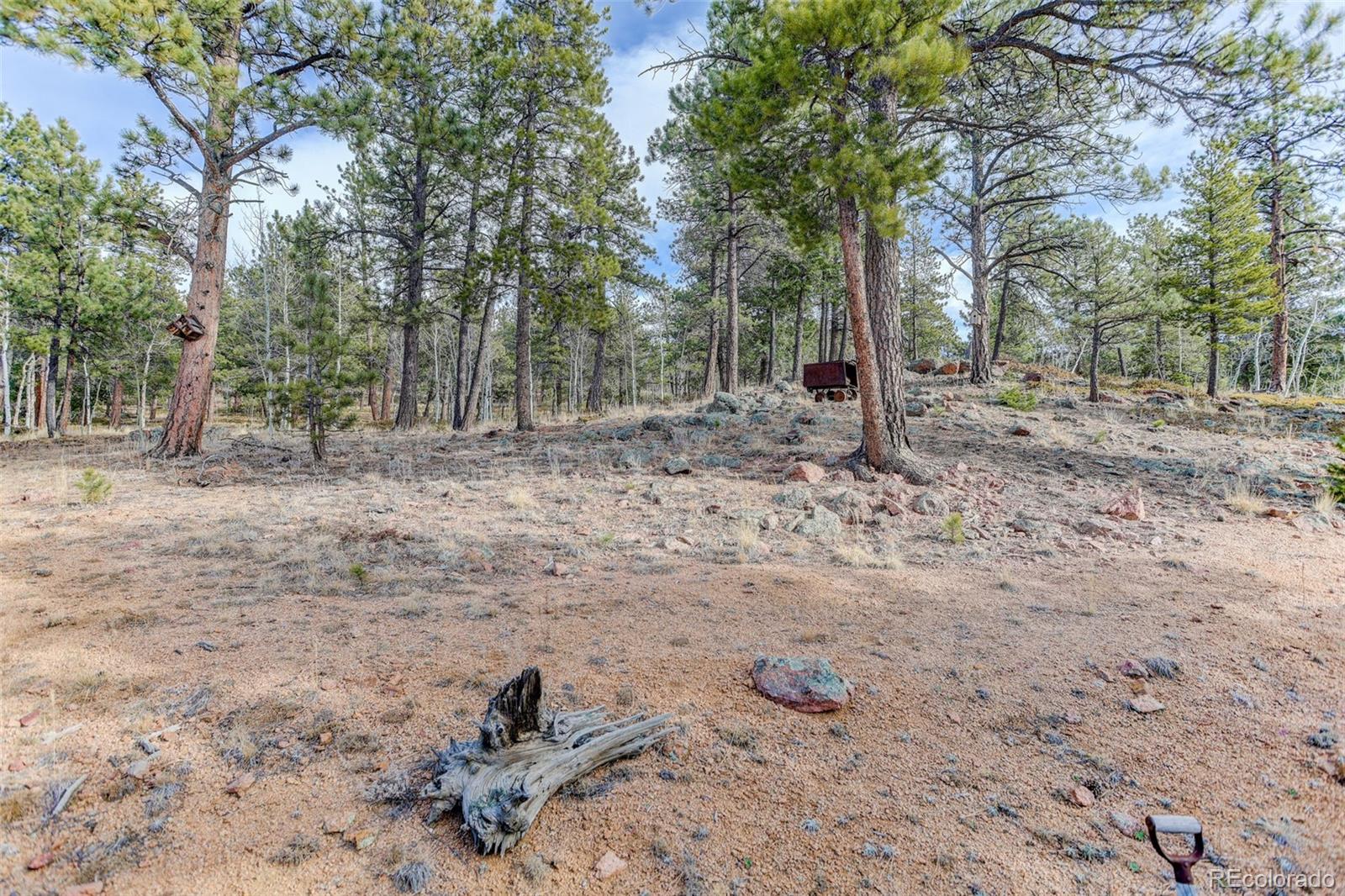 MLS Image #29 for 50  road p78 ,bailey, Colorado