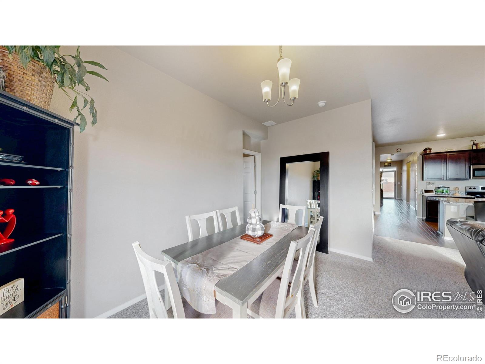 MLS Image #10 for 6247  oak grove street,timnath, Colorado