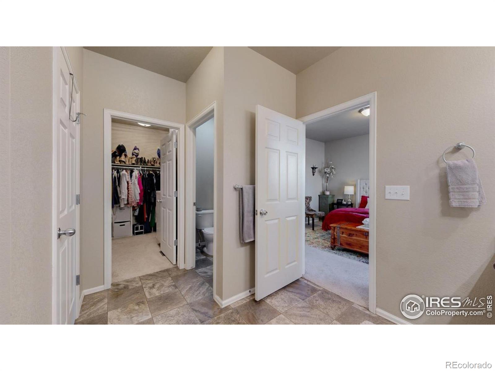 MLS Image #17 for 6247  oak grove street,timnath, Colorado