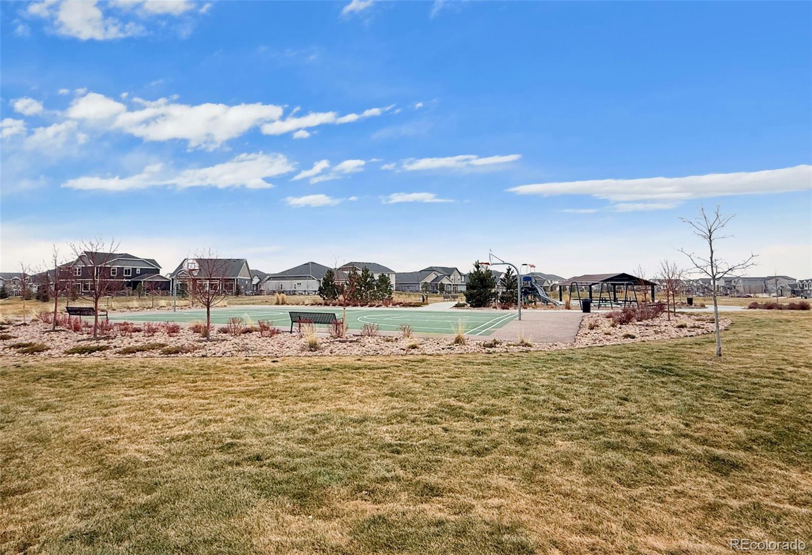 MLS Image #20 for 5733  thurless lane,colorado springs, Colorado
