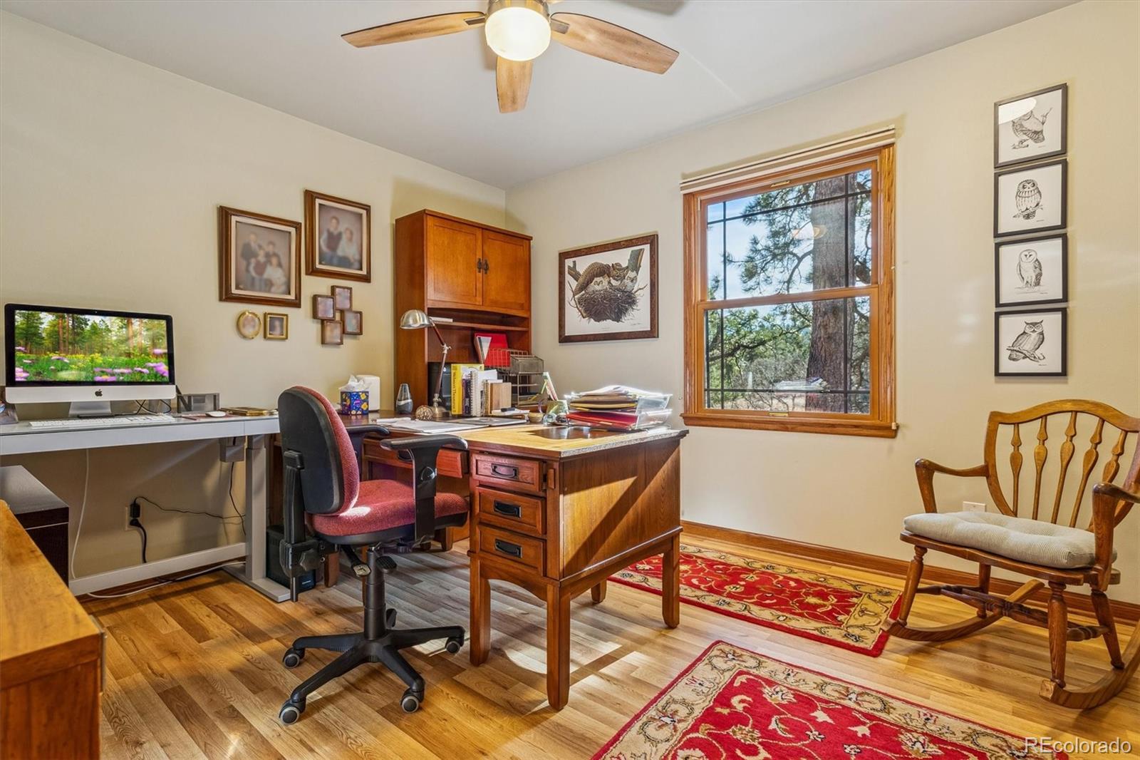 MLS Image #31 for 6509  pike circle,larkspur, Colorado