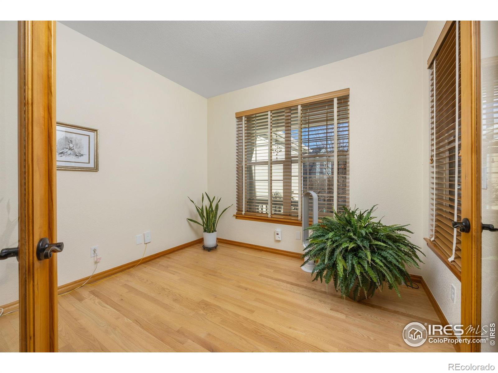 MLS Image #14 for 913  ninebark lane,longmont, Colorado