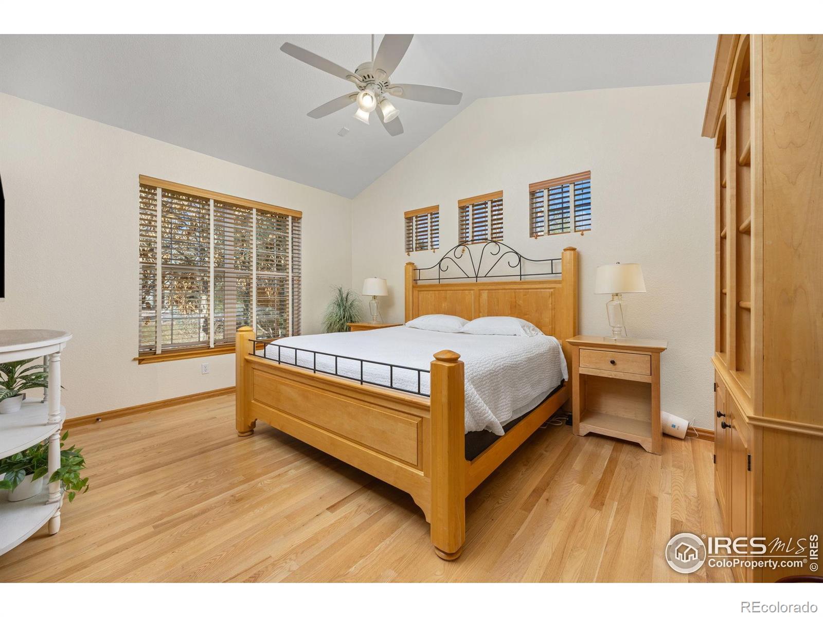 MLS Image #15 for 913  ninebark lane,longmont, Colorado