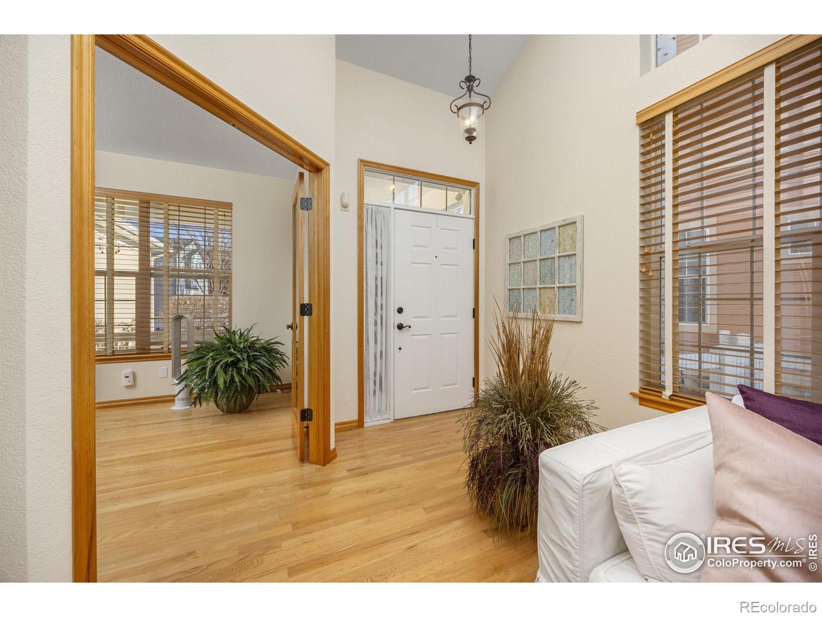 MLS Image #5 for 913  ninebark lane,longmont, Colorado